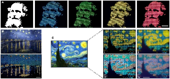 納米光柵/光信息存儲(chǔ)(Advanced Materials 