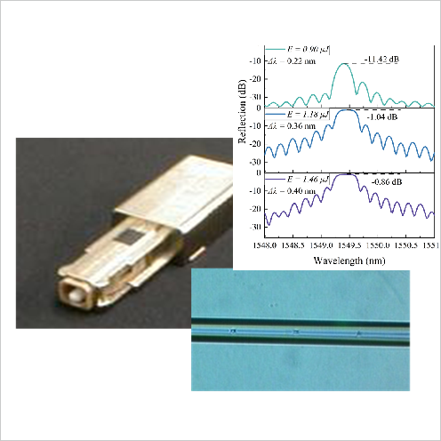 光纖光柵(Laser Photonics Rev.  (20